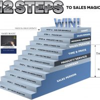 12 steps to Sales Magic Book